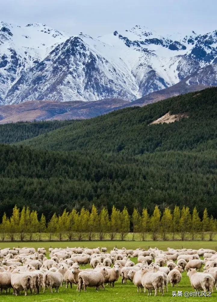 新西兰世界上最孤独的国家,新西兰是全球最孤独的国家