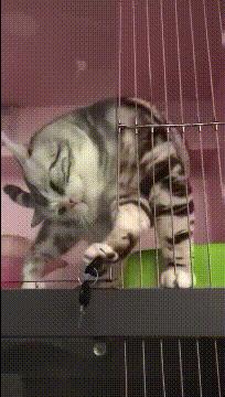 涔濅釜鍔ㄤ綔濮垮娍鎽嗘媿,涔濅釜鎵嬪娍鍔ㄤ綔