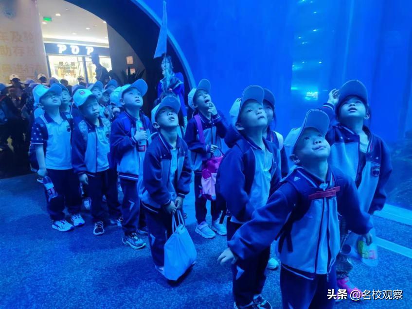 蔚蓝做苍穹，鱼儿变繁星！新川学子，走进浩海立方，探秘无限海洋