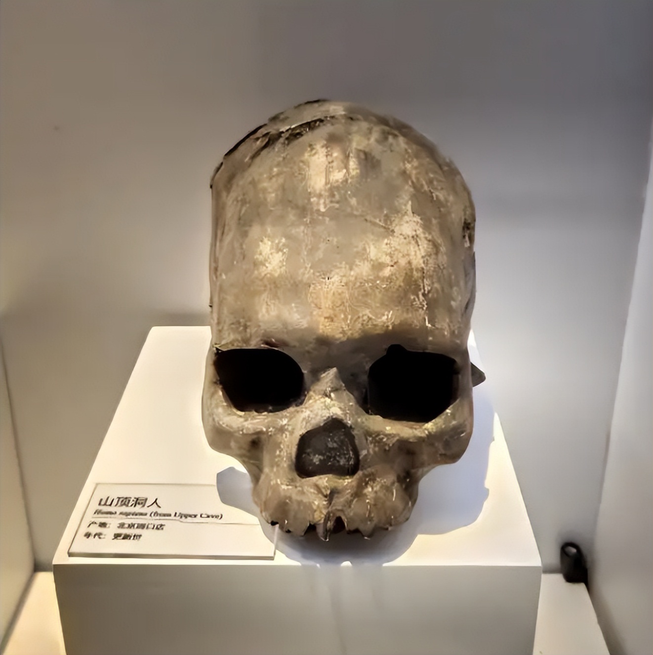 胆小莫入的人有多可怕,胆小勿进眼见不一定为实