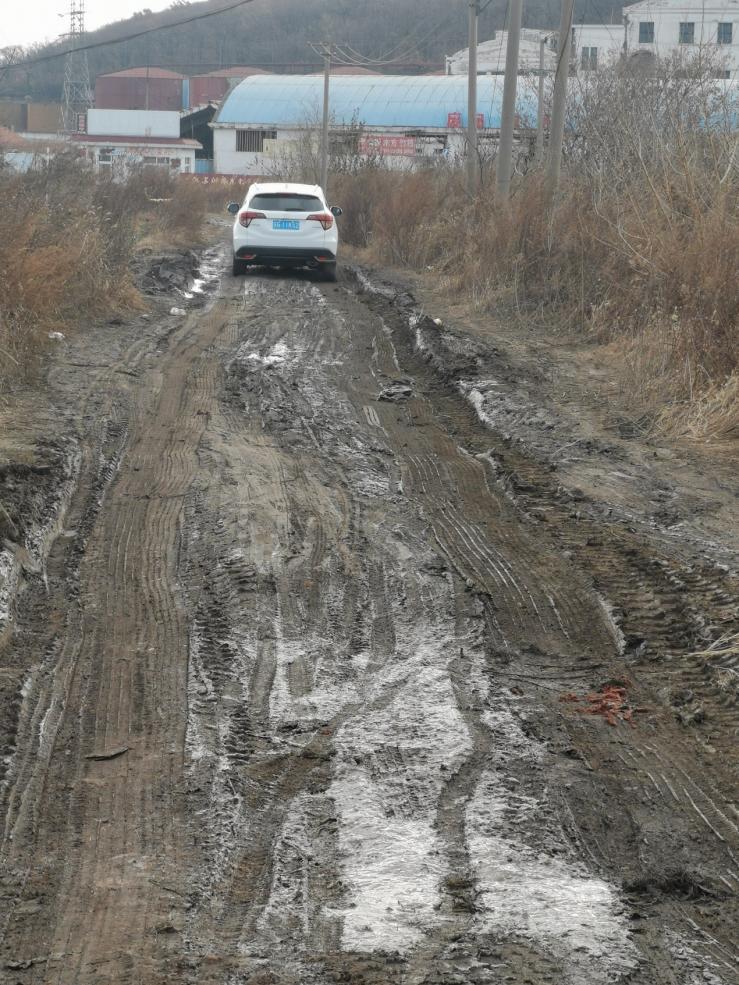 连云港舆情,连云港今日舆情