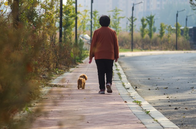 卖水果大爷月入十几万摆摊,摆摊卖水果生意亏得血本无归