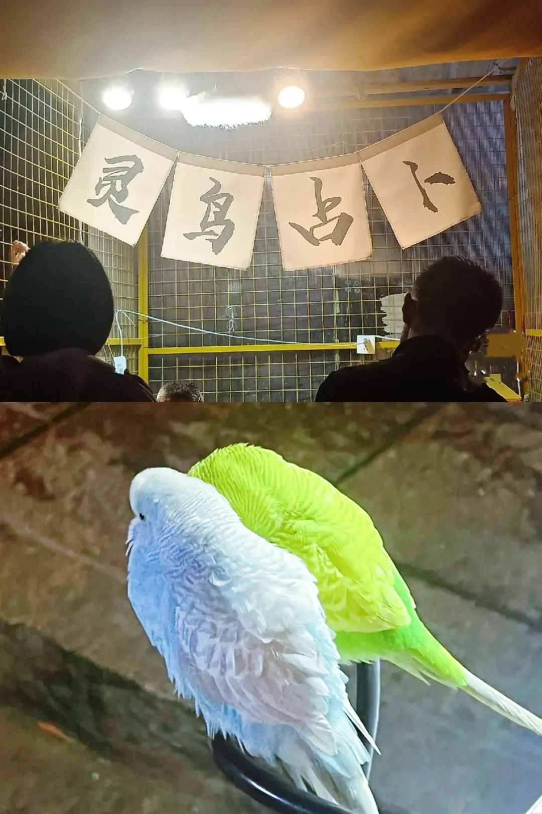 90后夫妻摆摊月入9000央视报道,95后夫妻摆摊卖土豆一日营业额9000