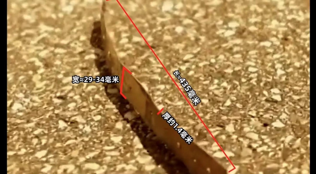 法航4590号航班重返危机现场,法航4590航班23周年纪念日