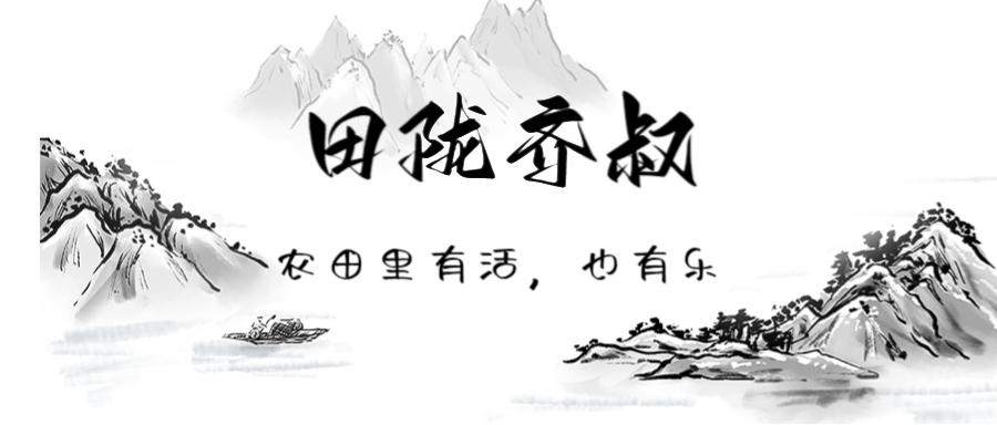 一种基于学习、轮廓形状和超体素聚类的低成本水稻穗三维建模方法