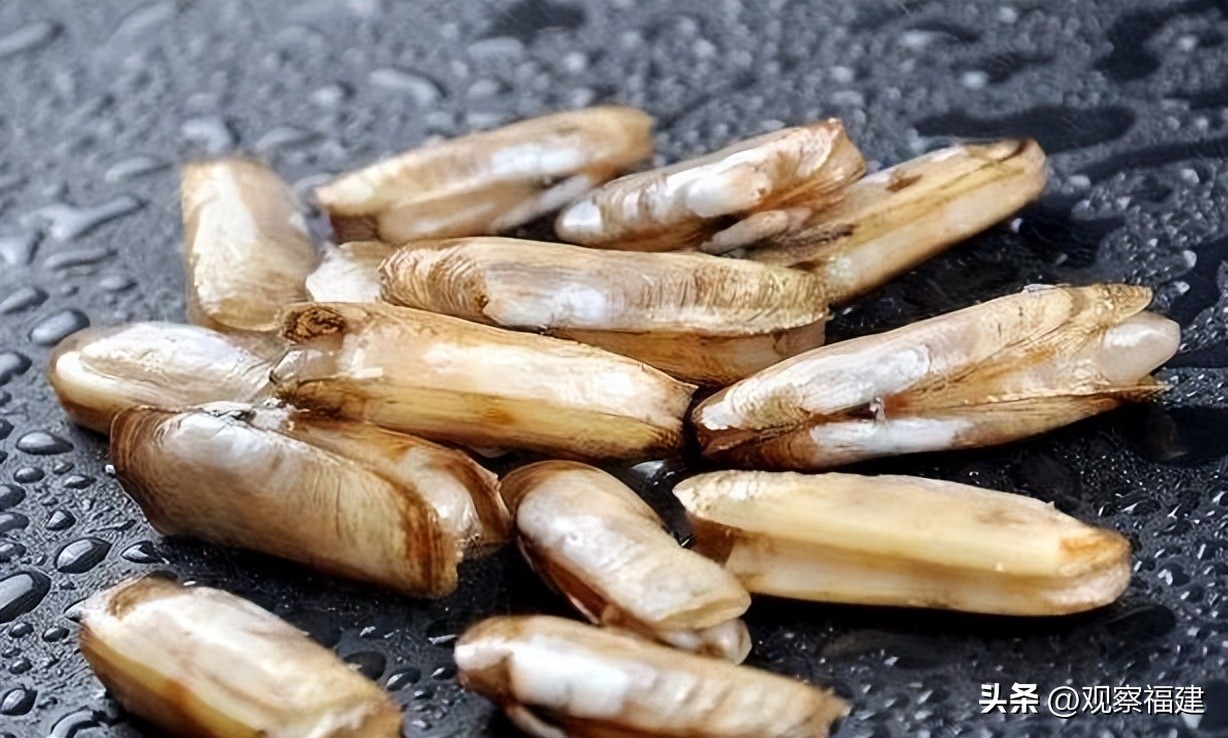 诏安秋天吃什么海鲜,福建各种海鲜图片大全