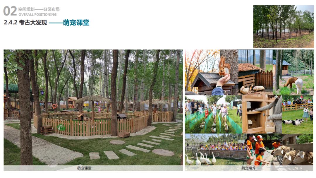 休闲农业与乡村振兴规划设计,乡村振兴农场模式