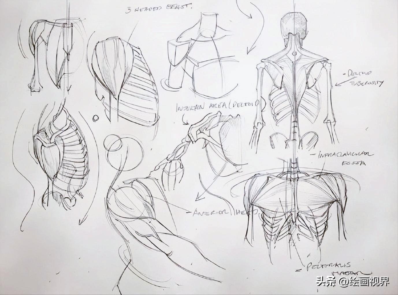 学不会人体画法怎么办,初学者不会画素描