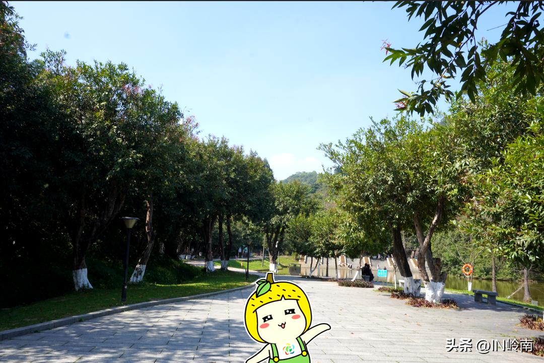 虹消雨霁斗转星移,虹销雨霁