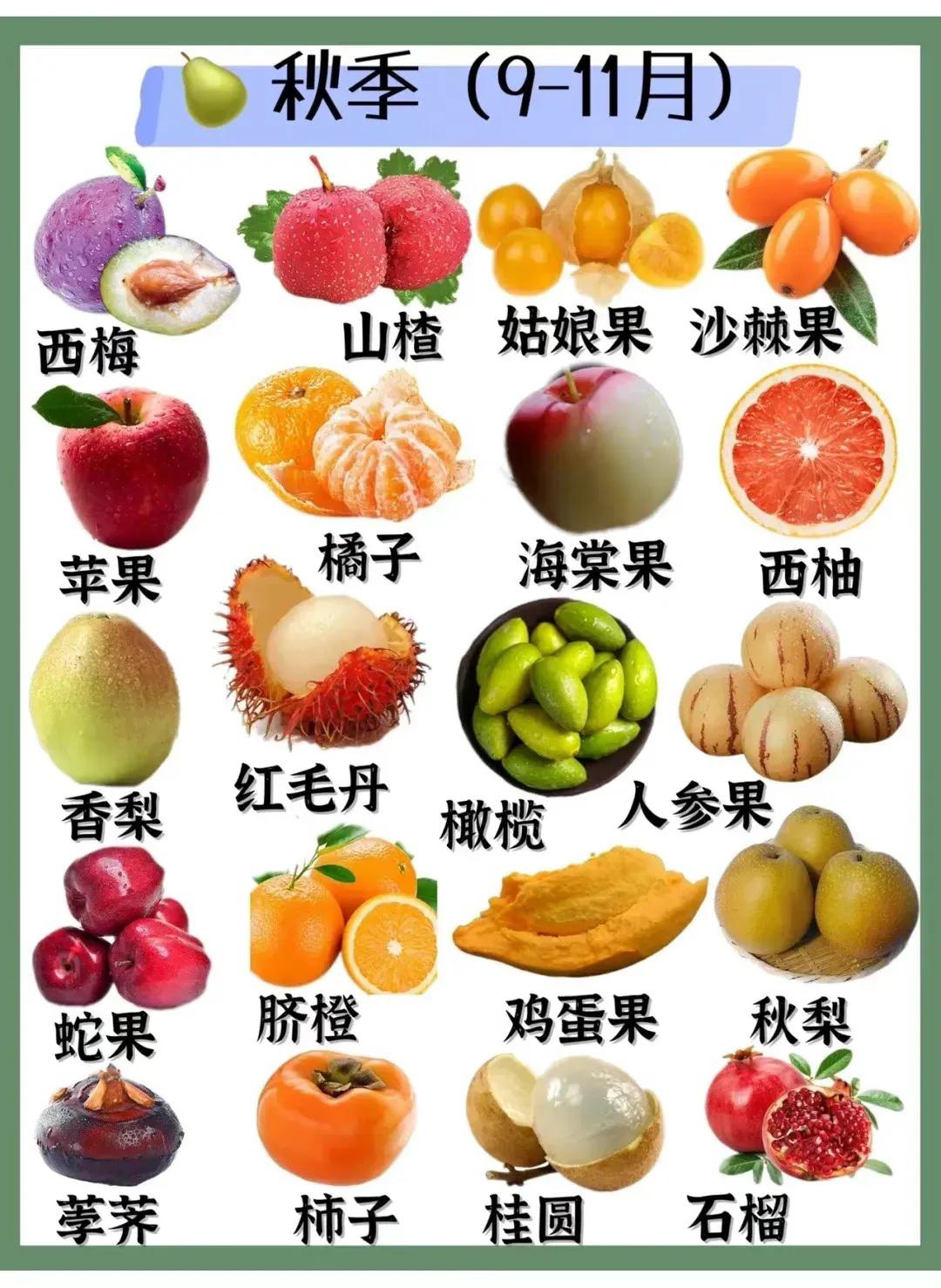 应季水果时间表上热搜,应季水果时间表云南