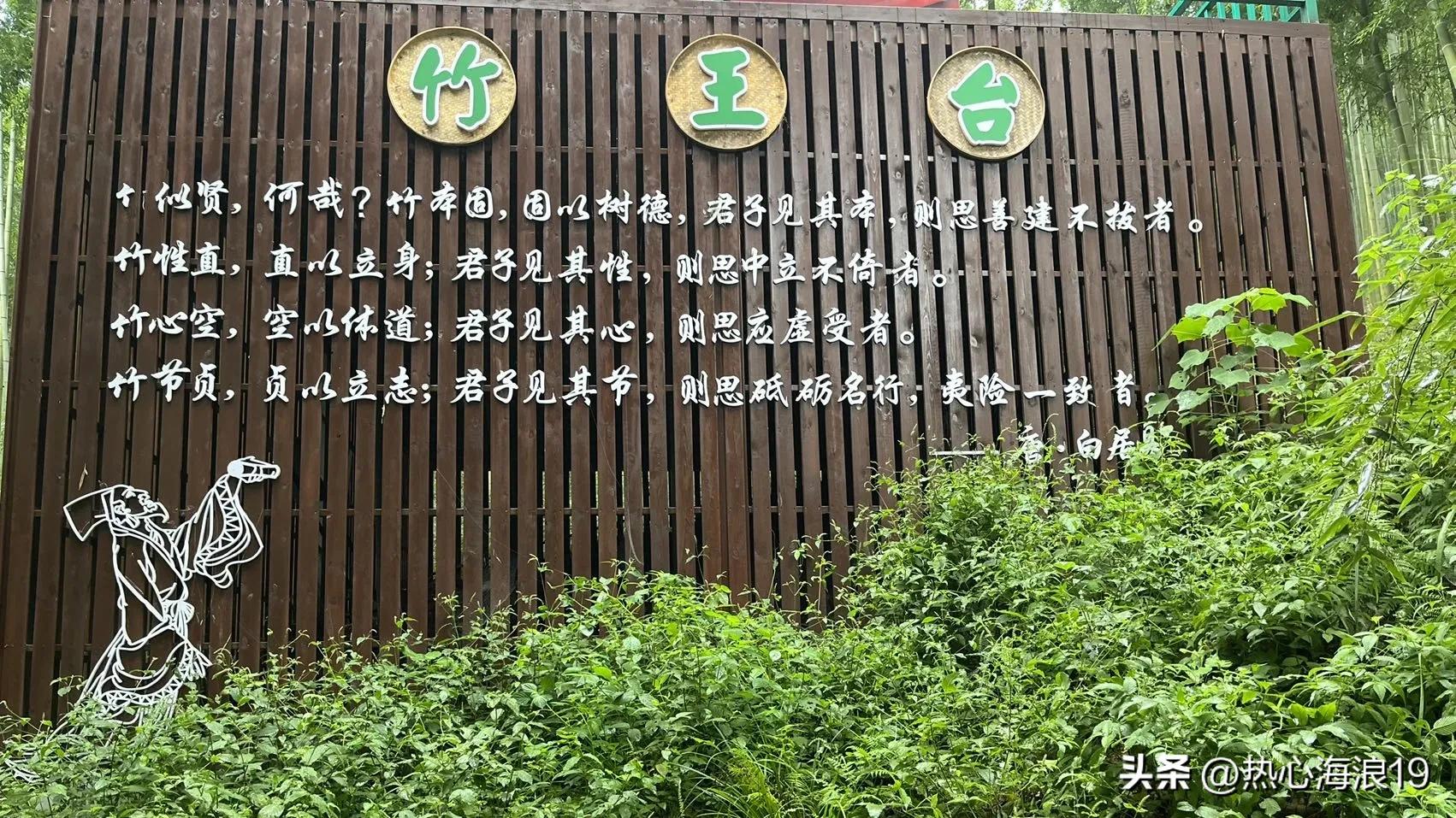 来自中国大竹海的静思