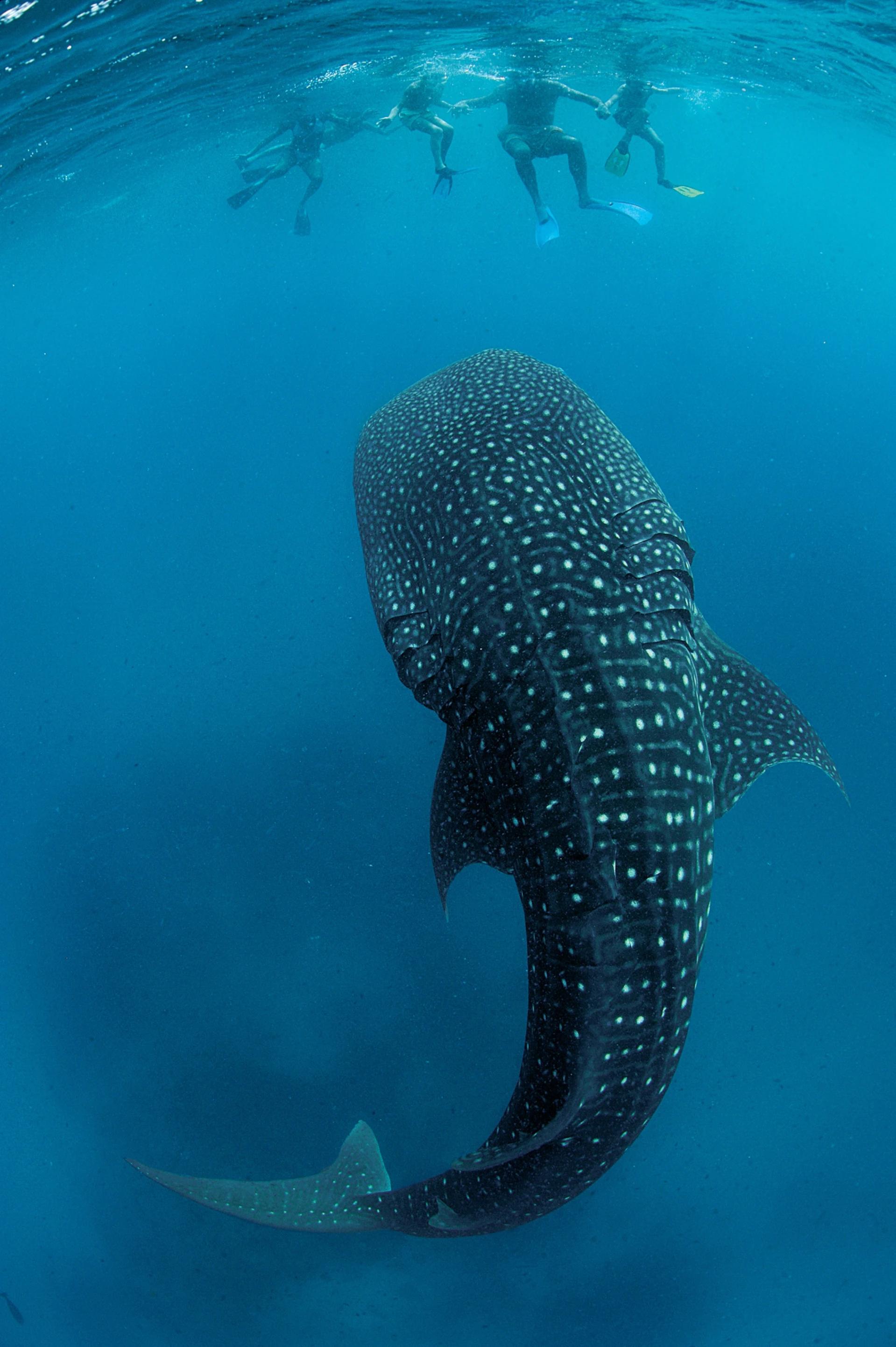 世界最震撼的二十个自然奇观,世界上超震撼的20个自然景观下集