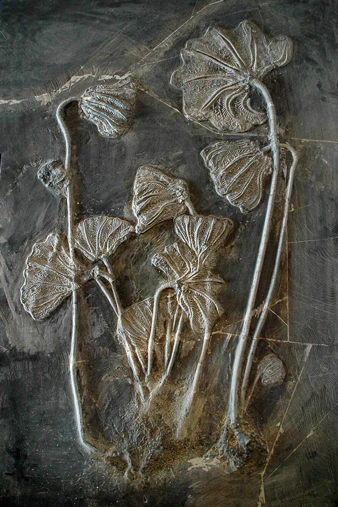 怎样才能了解中国真正的历史,怎么从头到尾了解中国的所有历史