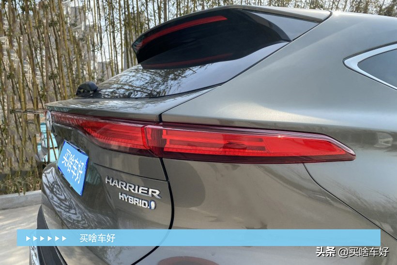 凌放全系用的什么牌子的音响,凌放两驱旗舰的音响效果