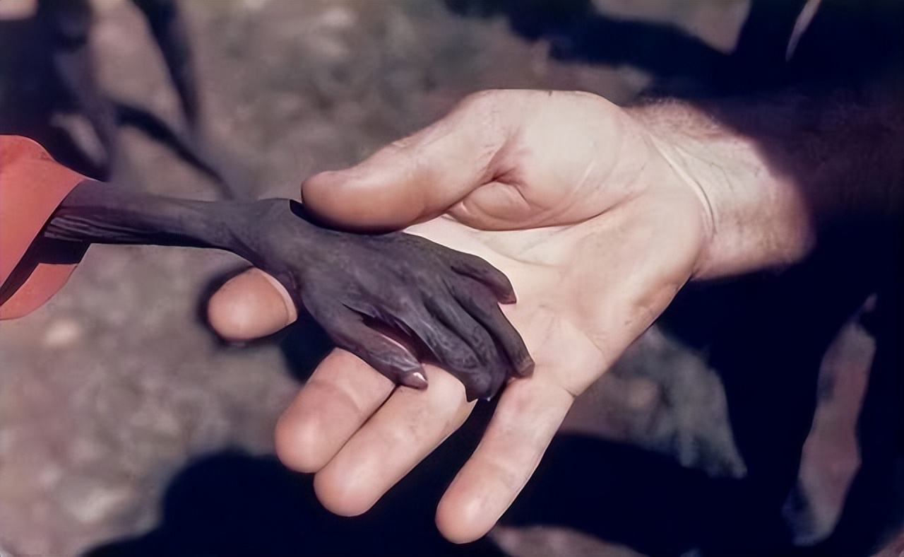 2016年，那个被白人美女喂水喝的2岁非洲小男孩，后来怎么样了？