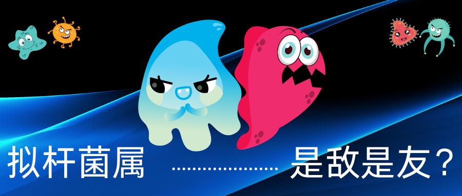 肠道重要的菌群有哪些,肠道杆菌的病原特点