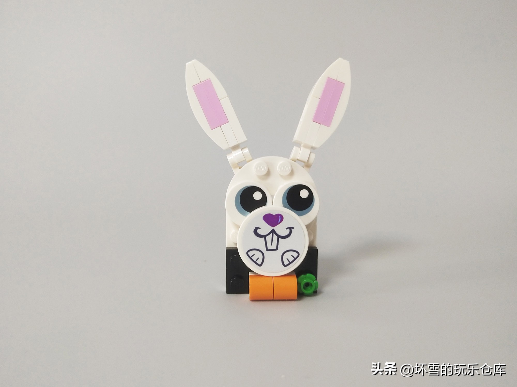 坐过山车看海底世界,坐过山车体验视频