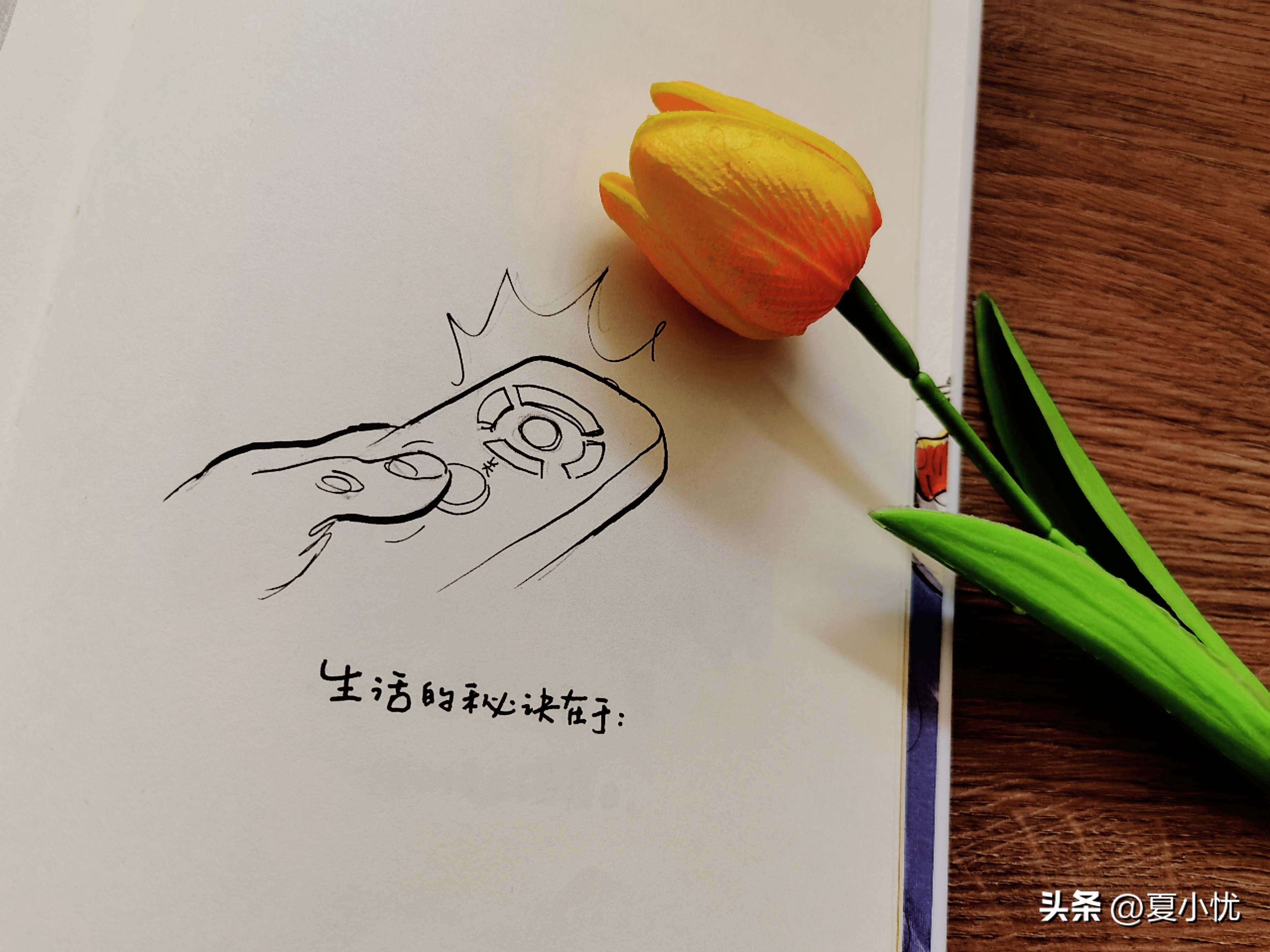 感到丧的时候怎么办,感觉很丧怎么办视频