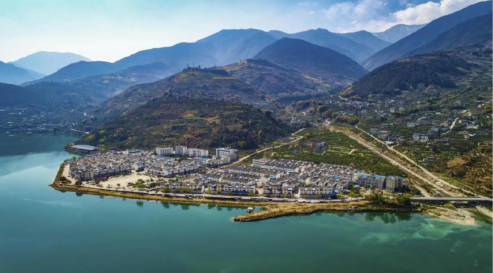 海耳藤,海耳藤编