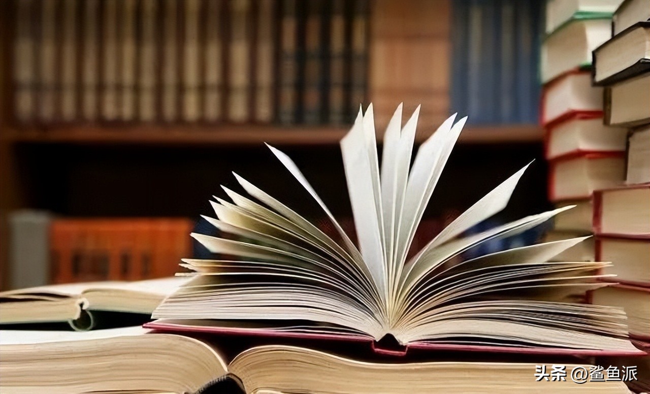 鲨鱼哥：高手路径，如何快速成为一个领域的高手