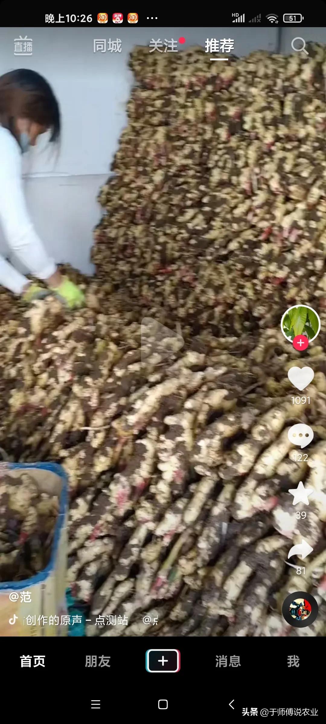 种姜一亩地成本和利润,种植一亩大姜一年能挣多少钱