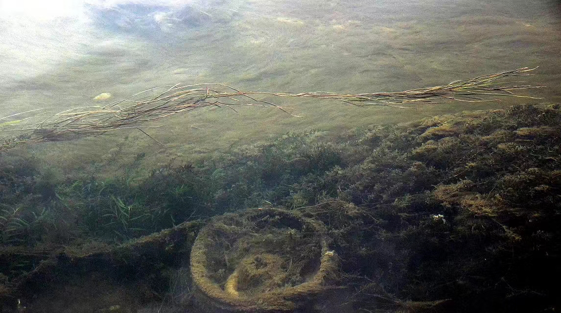 湘西凤凰古镇旅游攻略,我的凤凰之旅凤凰古城游玩攻略