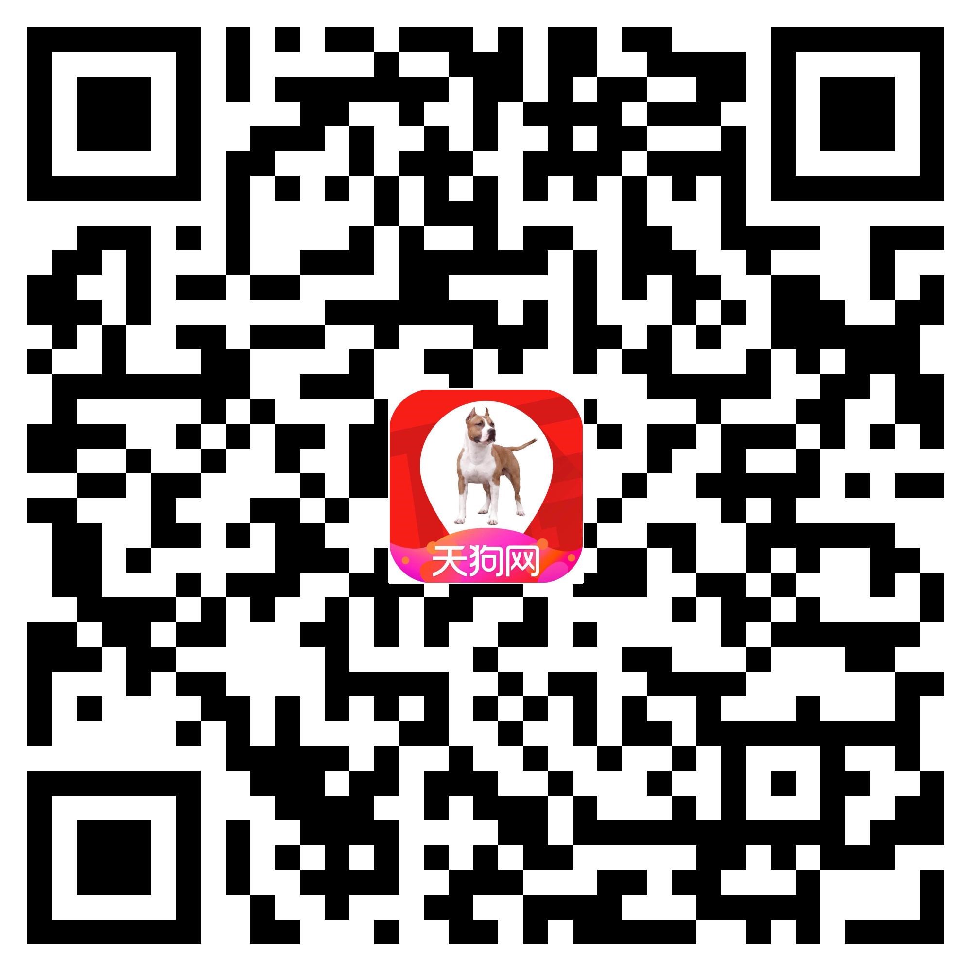 沈阳和平购物,和平区购物哪个商场好