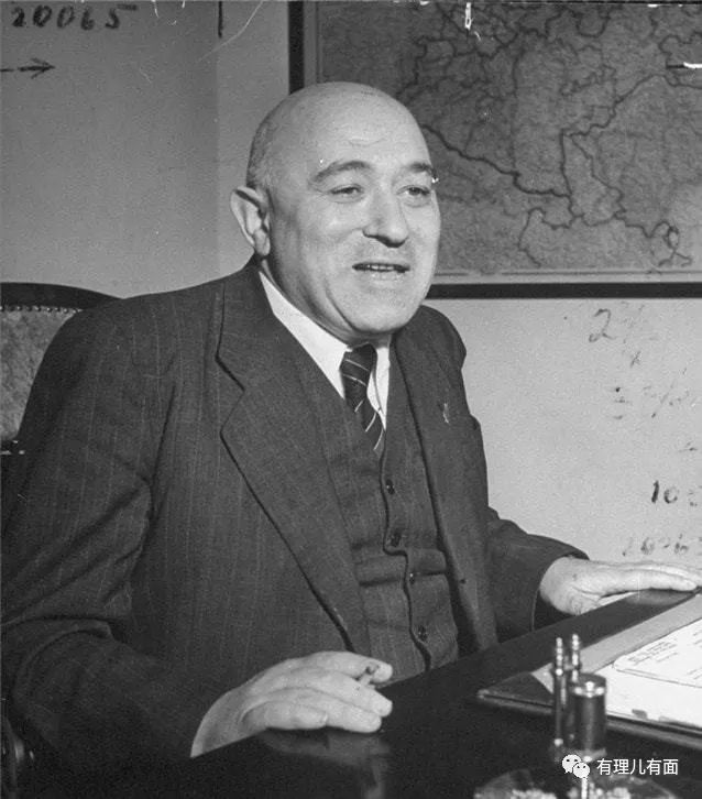 匈牙利国鸟大鸨鸟,匈牙利作为欧盟中的特立独行者