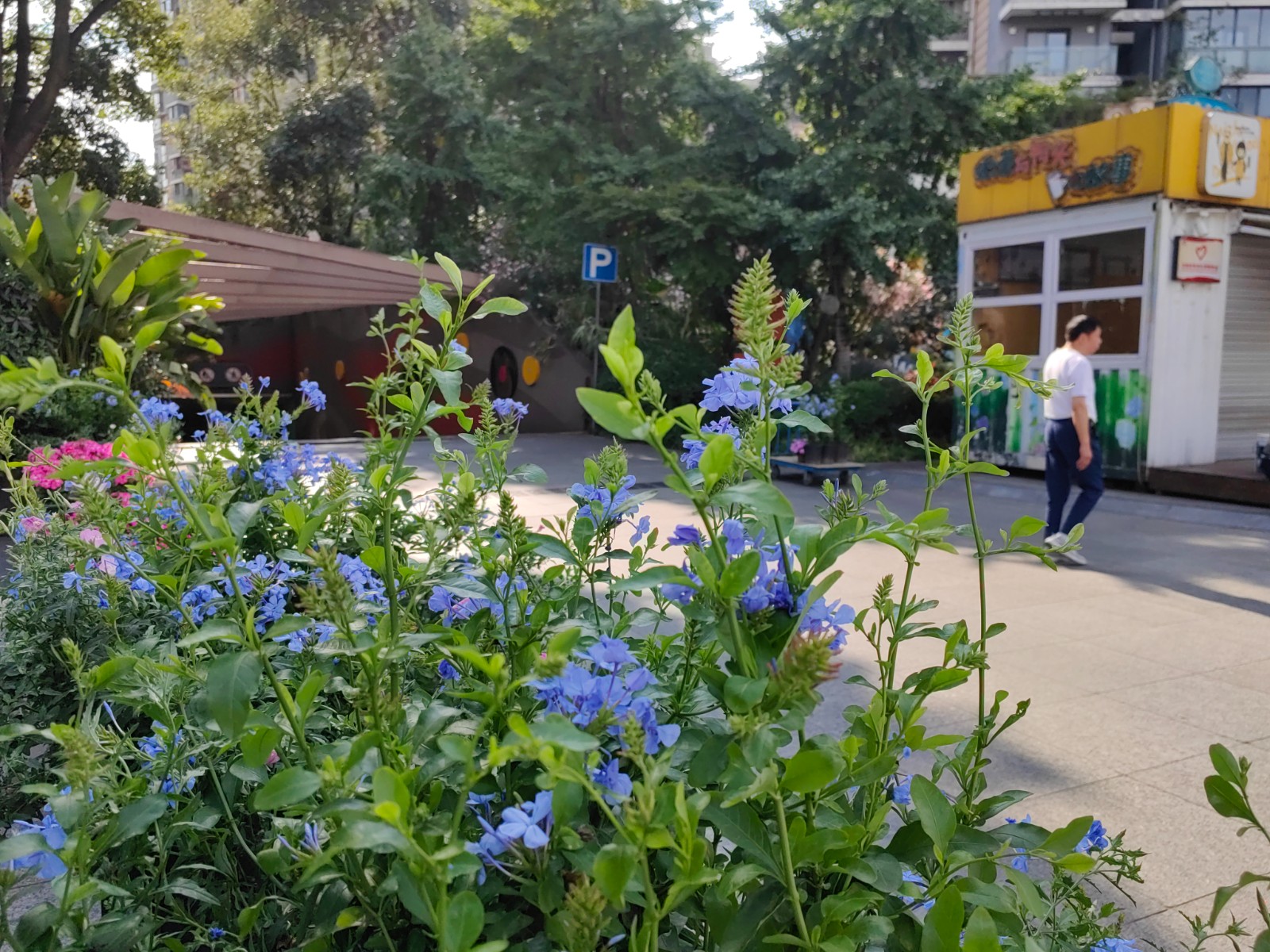 成都武侯鹭岛步行街,武侯鹭岛国际步行街