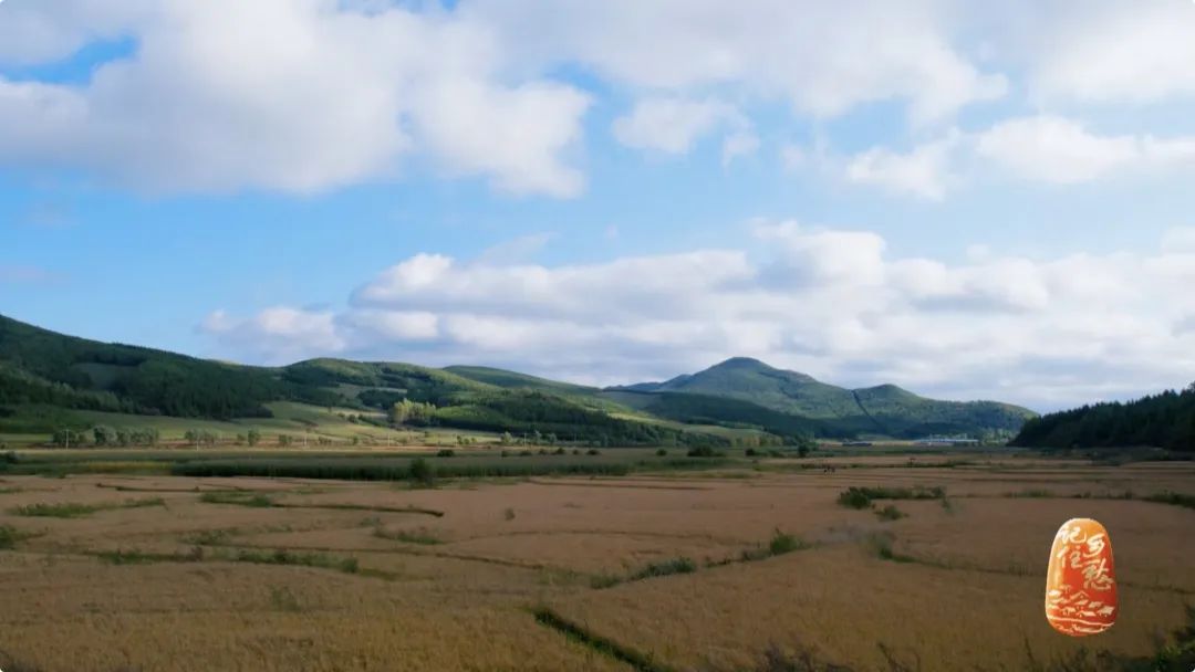 编导手记|勃利：厚积薄发东北大地焕新颜——吕明月