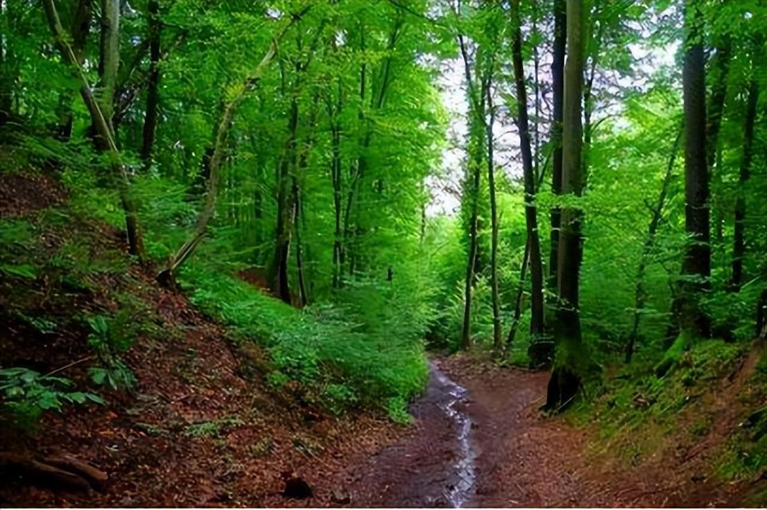 08年,29岁华裔女作家被15岁男孩侵犯,对方律师却称:她先*引勾**的