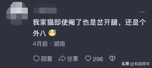 猫咪坐姿分辨性别,猫咪坐姿判断性别