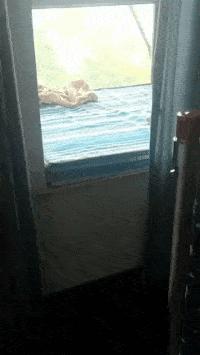 如何评价这个女主持人，主持了一半把*袜丝**脱了？