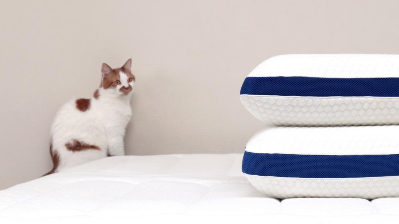 乳胶枕哪个品牌的好一点耐用,乳胶枕的优缺点和价格