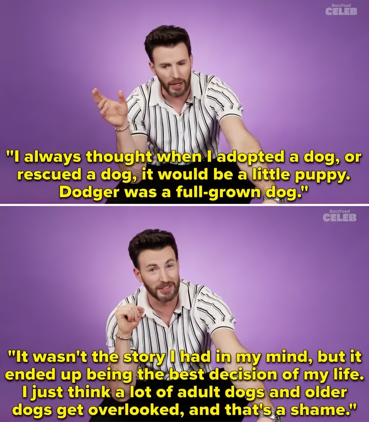 抖森当爸,抖森当爸爸了