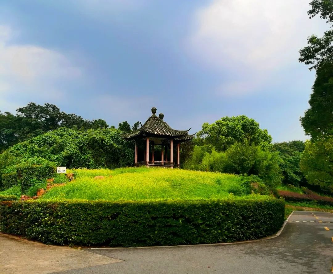 南京大学浦口校区现在怎么样,浦口南大校区