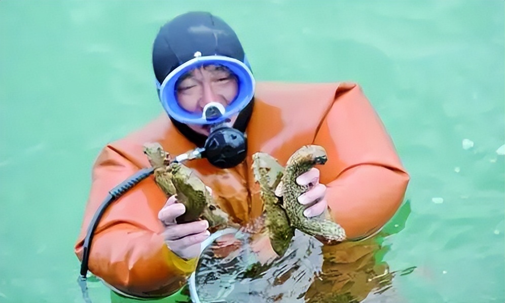 带你了解海参的几个小常识,对于海参的说法你知道几种