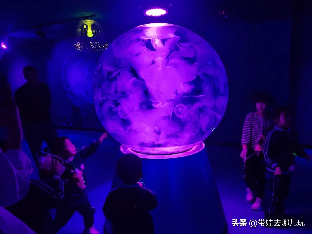 天津海昌极地海洋公园冬天营业吗,天津海昌极地海洋公园游玩攻略