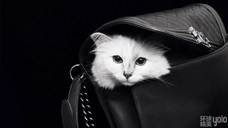 metgala绾㈡2022,metgala绾㈡2021