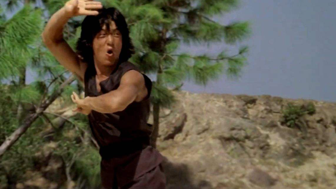 成龙是真功夫还是花拳绣腿,成龙评价李小龙的功夫是花拳绣腿