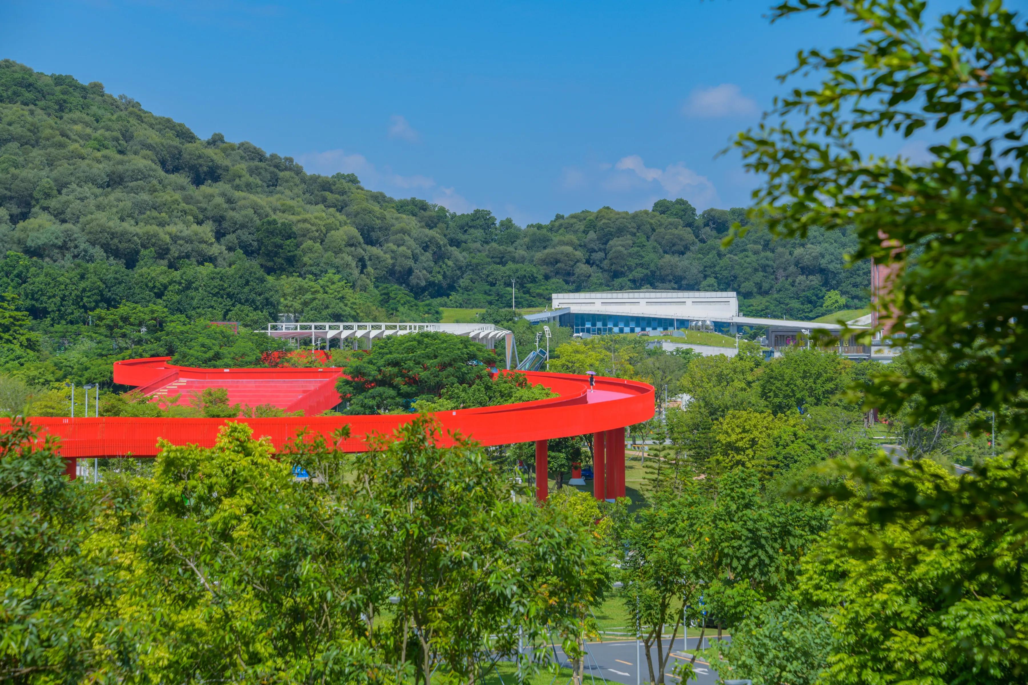 网红森林公园旅游,周日网红公园一游