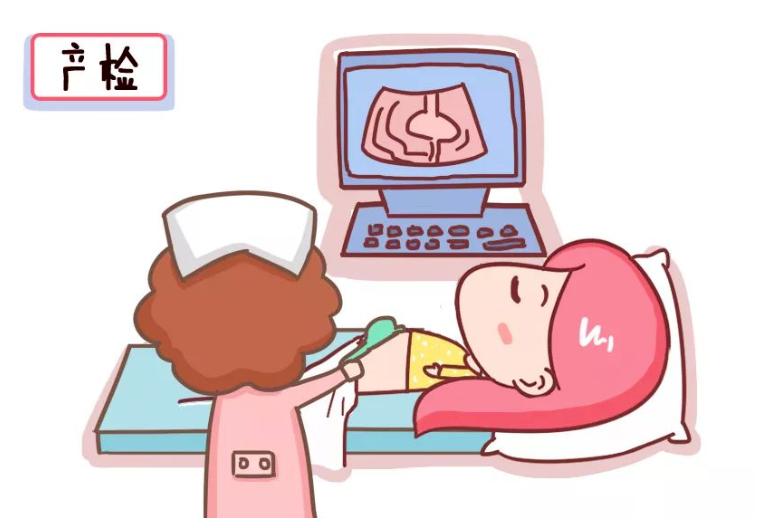 孕期备孕知识大全,备孕以及孕期知识从哪里学习