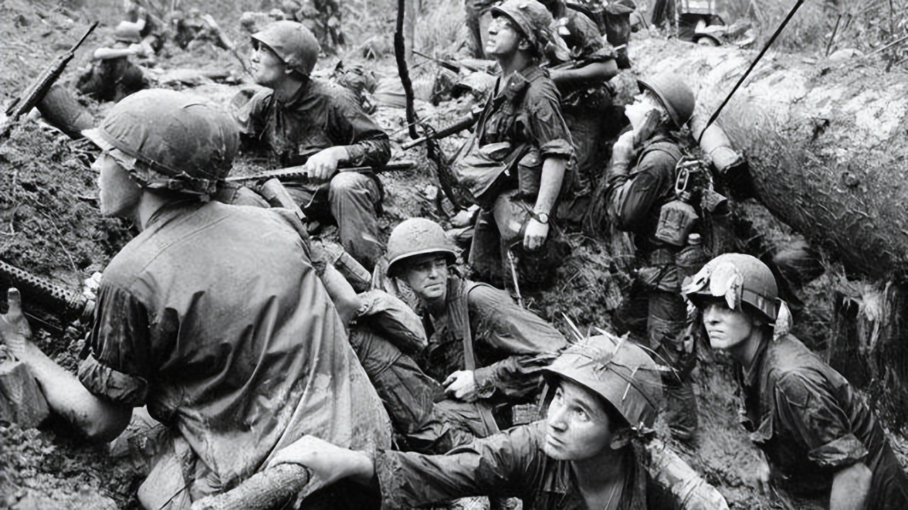 猫咪终究没能避开越南人的屠刀,越南人日食上万只猫,为啥爱吃猫