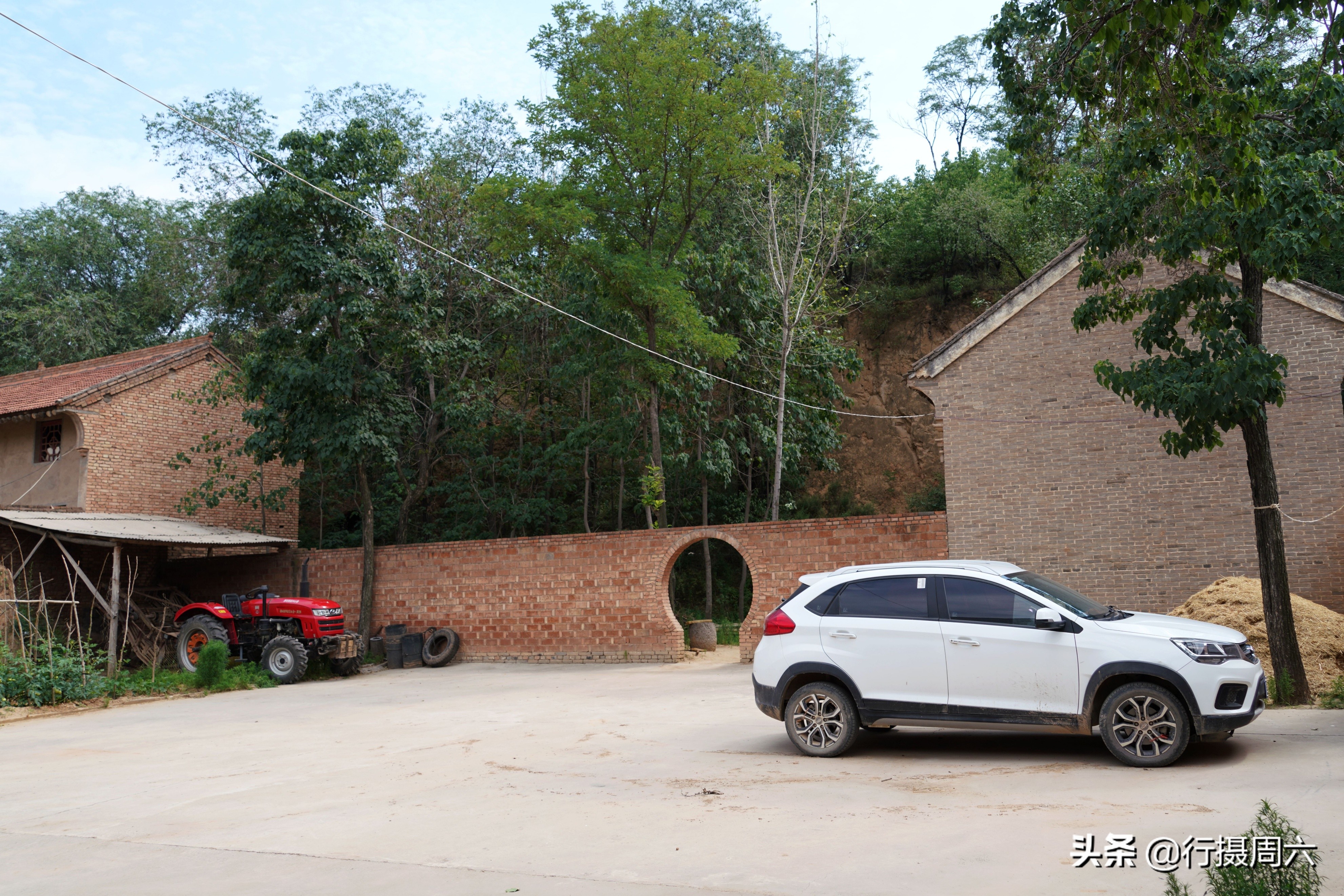 农村大姐养宠物犬,农村大姐养土狗视频