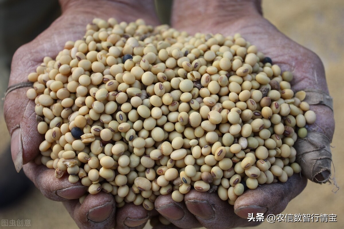 2018年豆粕价格上涨的原因,豆粕最高行情