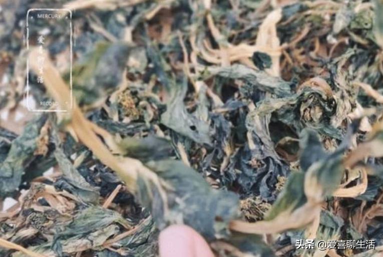 春天遇见这些菜别手软，晒干囤起来，从春吃到冬，随吃随取真省事