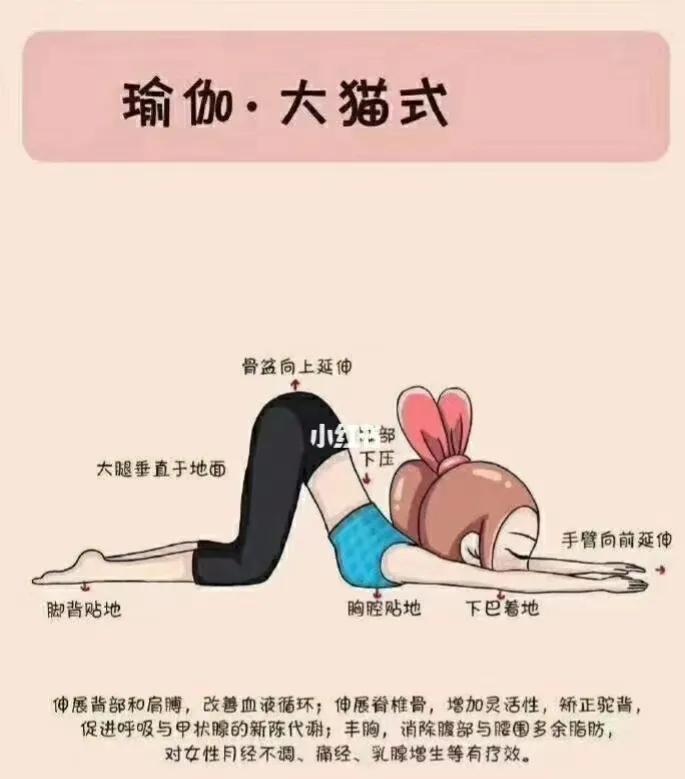 每天练习30分钟狗喘气,狗趴式动作拉伸