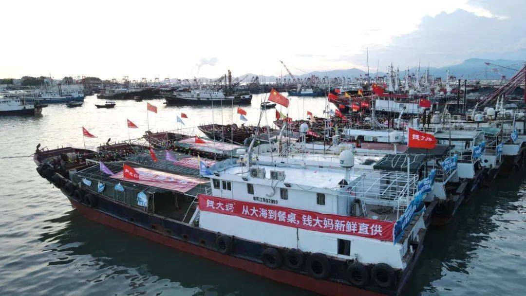 钱大妈生鲜开业活动,钱大妈又出新消息了吗