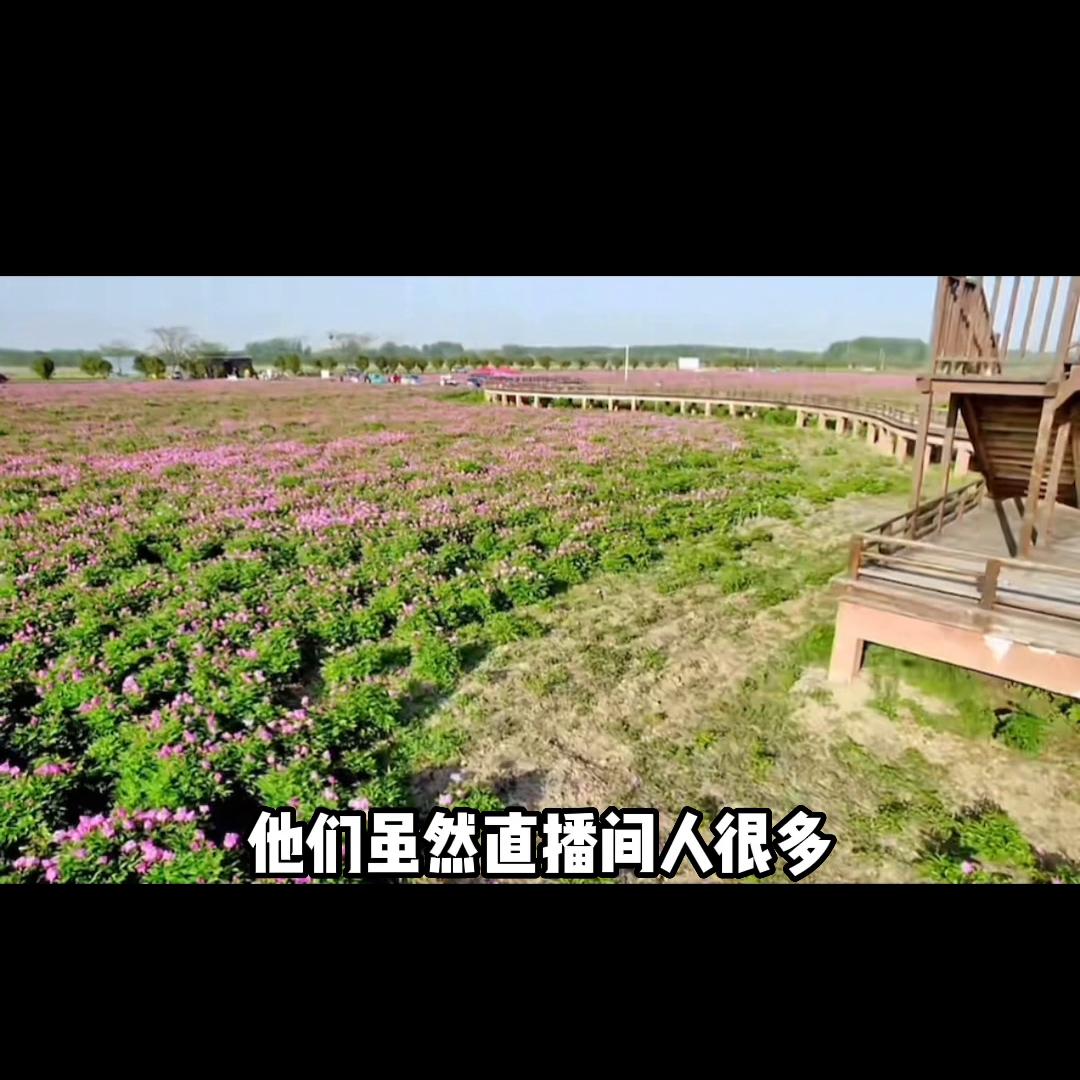 直播和短视频哪个更重要#渠联社