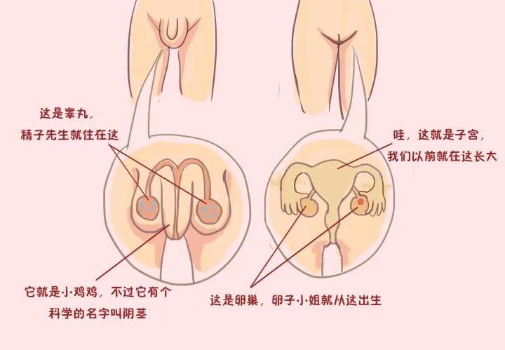 家长如何和孩子沟通性的问题,家长怎么和孩子沟通两性问题